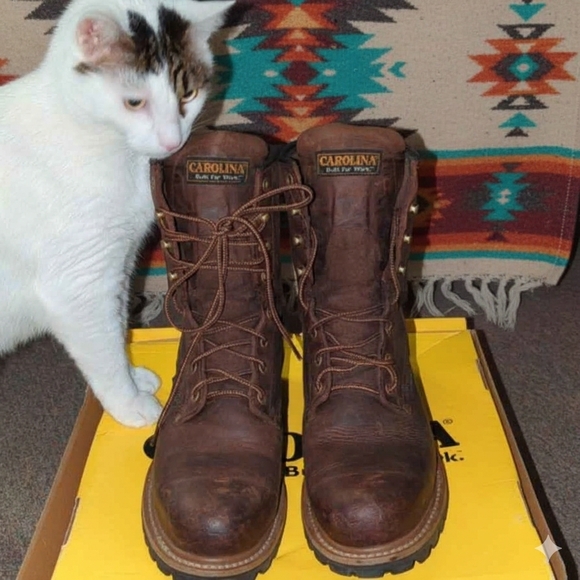 Carolina Other - CAROLINA® Waterproof 8" Steel Toe Logger Mens 10 Brown Excellent